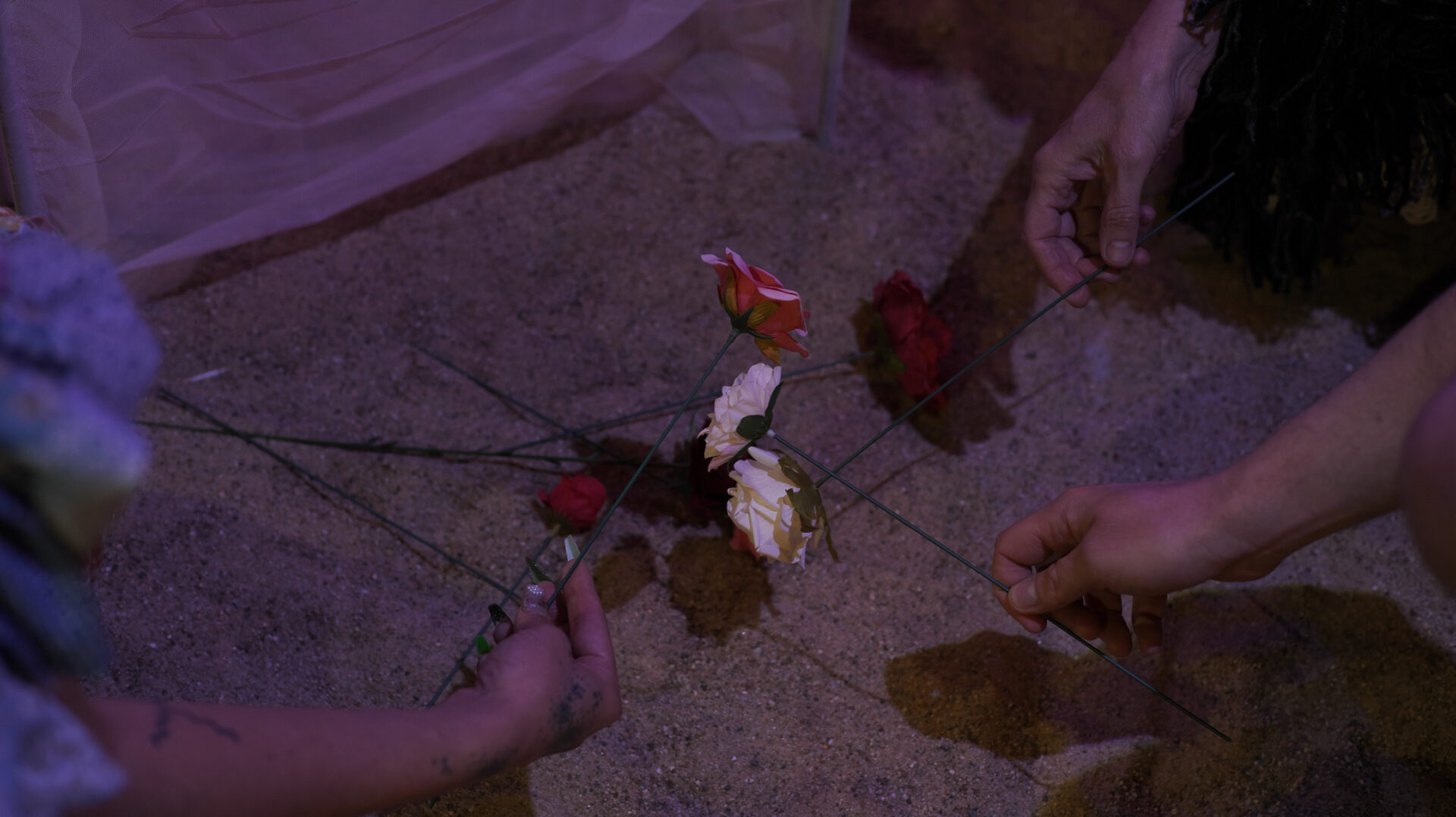 Traffic-Wind-Field-Blu-Abis-13